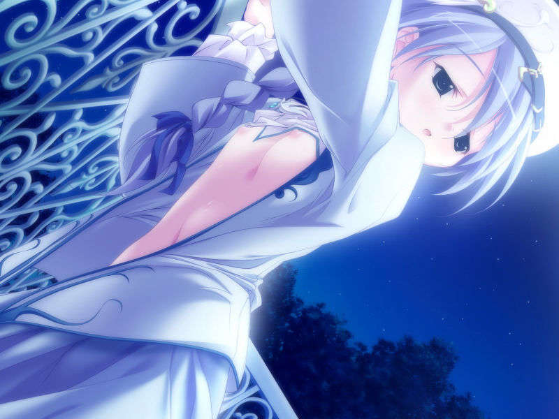 [061124]遙かに仰ぎ、麗しの 895/1031 