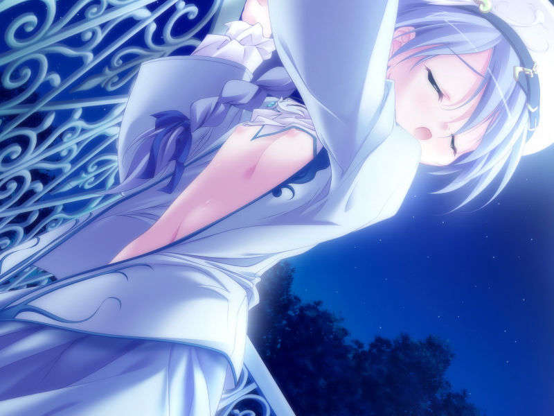 [061124]遙かに仰ぎ、麗しの 897/1031 