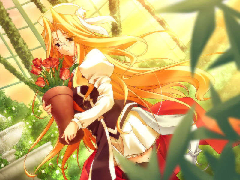 [061124]遙かに仰ぎ、麗しの 919/1031 