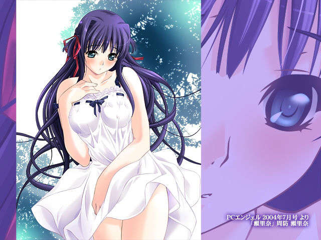 [050729][アトリエかぐや Team Heart Beat] 女教師 DVD Edition 491/520 