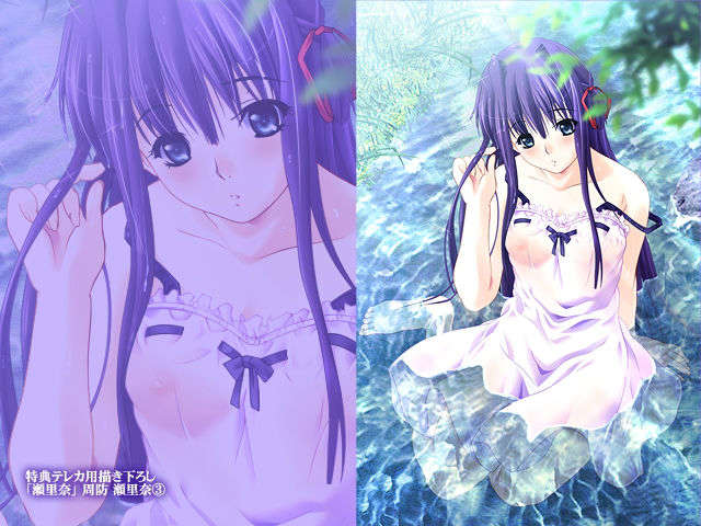 [050729][アトリエかぐや Team Heart Beat] 女教師 DVD Edition 495/520 