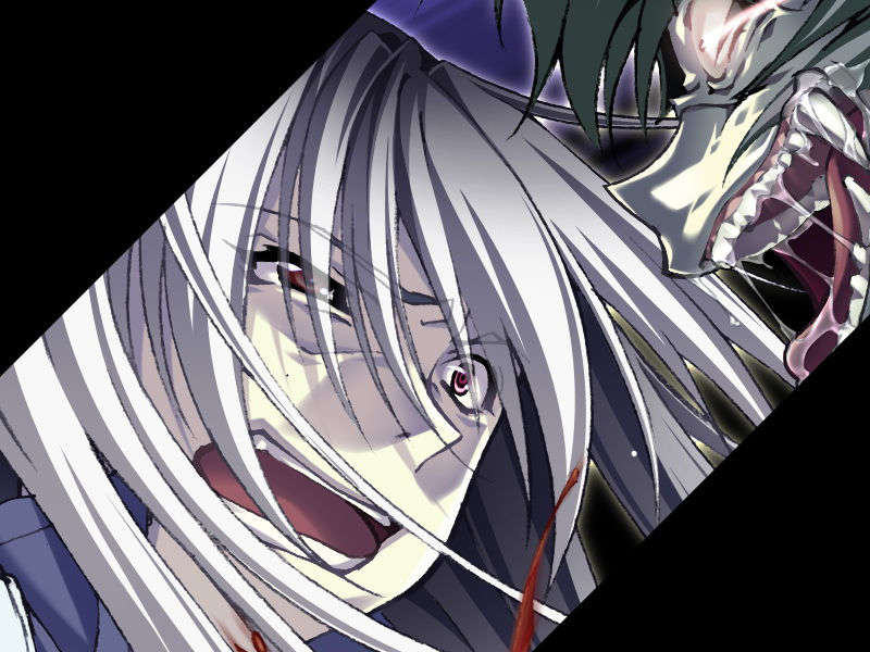 [070525][めろめろキュート] ドラクリウス 319/1211 