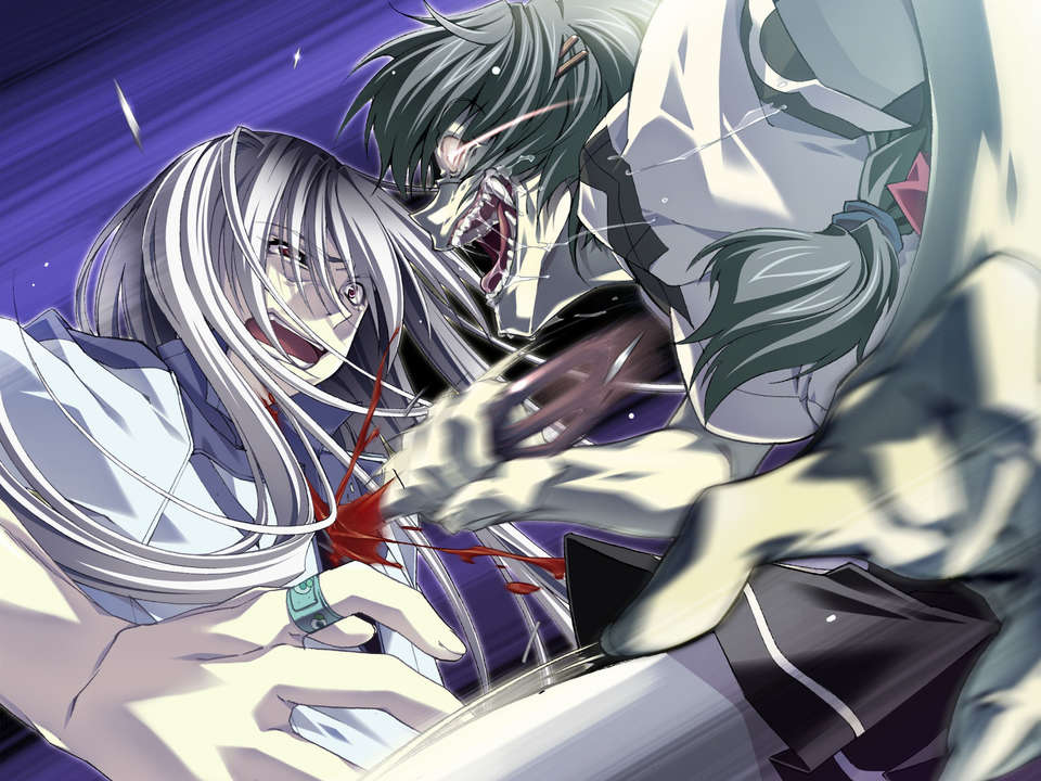 [070525][めろめろキュート] ドラクリウス 320/1211 