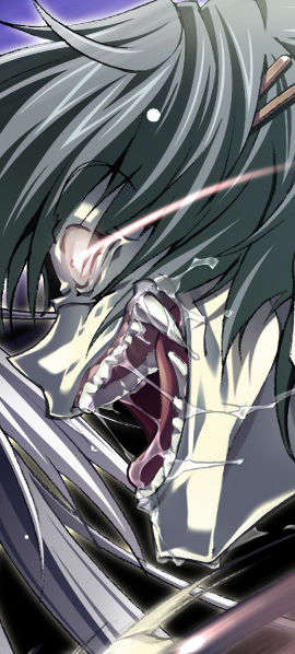 [070525][めろめろキュート] ドラクリウス 321/1211 