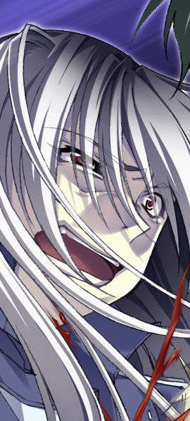 [070525][めろめろキュート] ドラクリウス 322/1211 