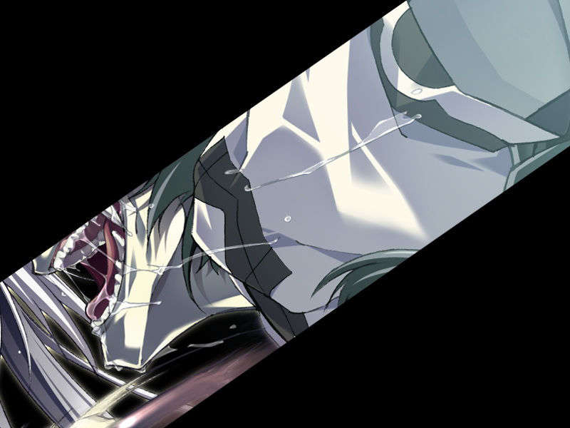 [070525][めろめろキュート] ドラクリウス 323/1211 