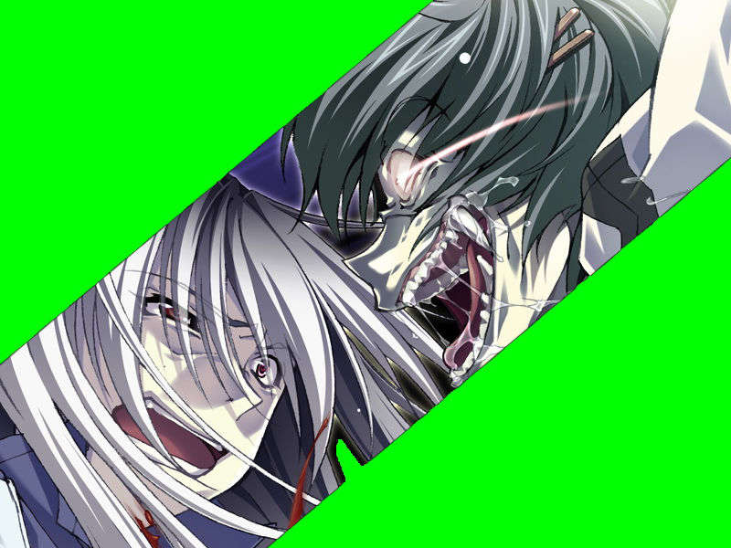 [070525][めろめろキュート] ドラクリウス 324/1211 