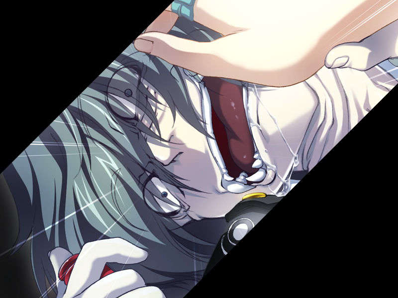 [070525][めろめろキュート] ドラクリウス 334/1211 