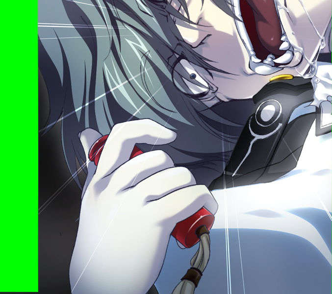 [070525][めろめろキュート] ドラクリウス 336/1211 