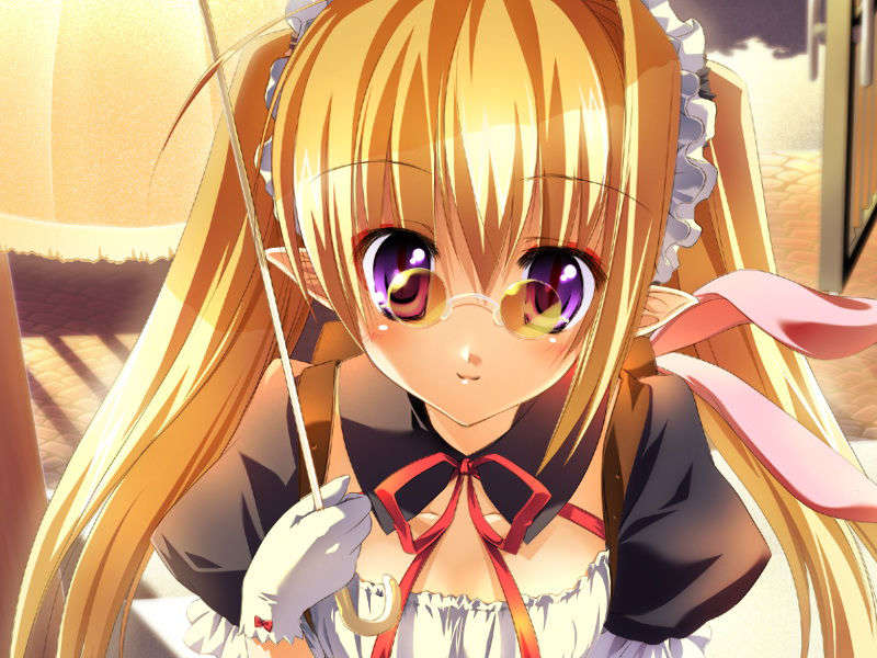 [070525][めろめろキュート] ドラクリウス 340/1211 