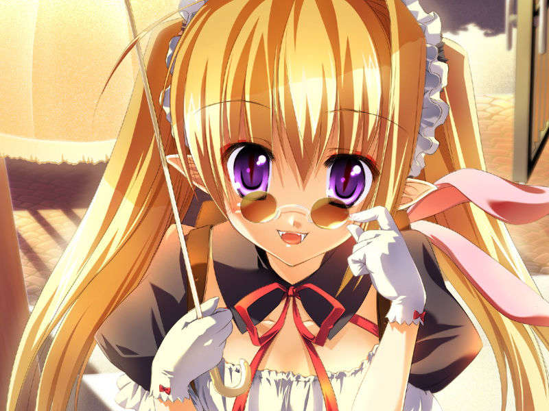 [070525][めろめろキュート] ドラクリウス 341/1211 