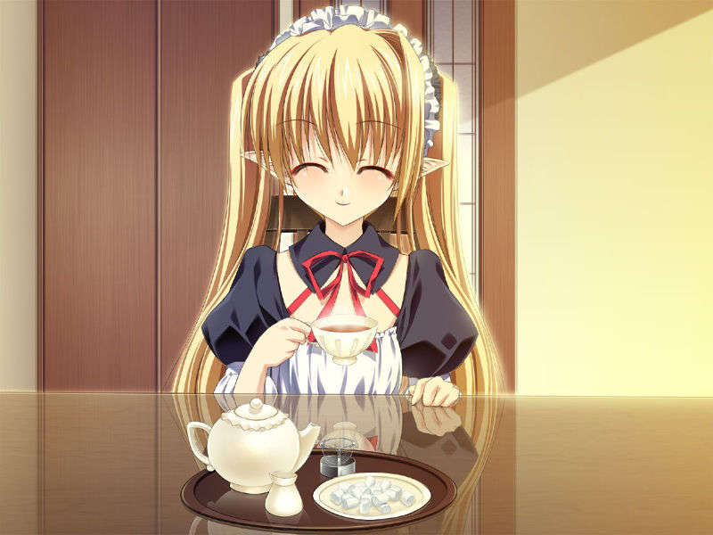 [070525][めろめろキュート] ドラクリウス 360/1211 