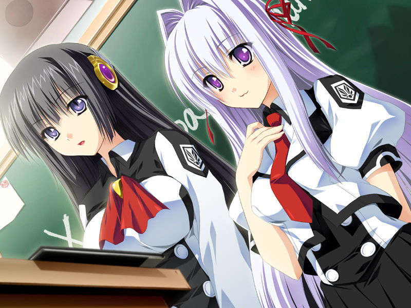 [070525][めろめろキュート] ドラクリウス 398/1211 