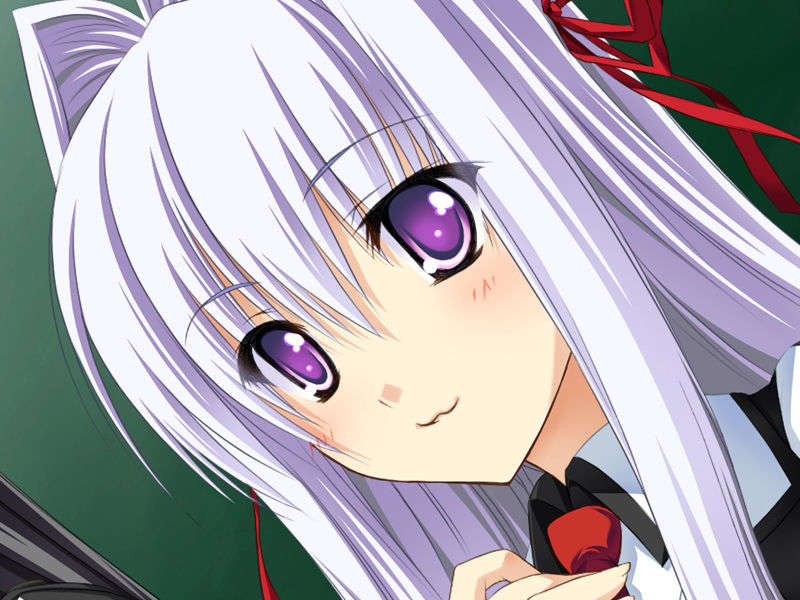 [070525][めろめろキュート] ドラクリウス 399/1211 