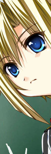 [070525][めろめろキュート] ドラクリウス 402/1211 