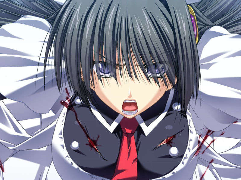 [070525][めろめろキュート] ドラクリウス 405/1211 