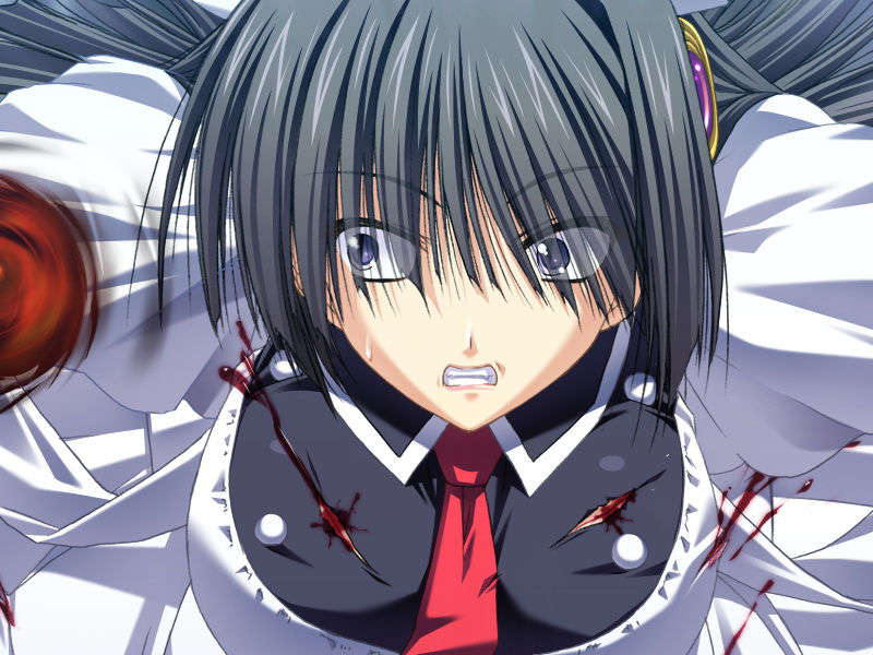 [070525][めろめろキュート] ドラクリウス 406/1211 