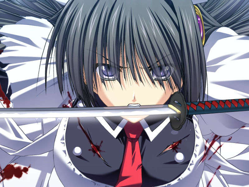 [070525][めろめろキュート] ドラクリウス 407/1211 