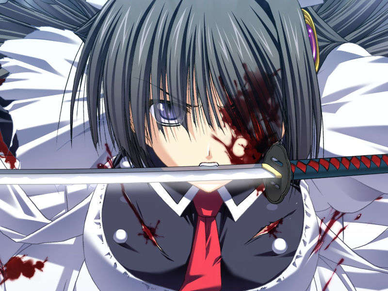 [070525][めろめろキュート] ドラクリウス 410/1211 