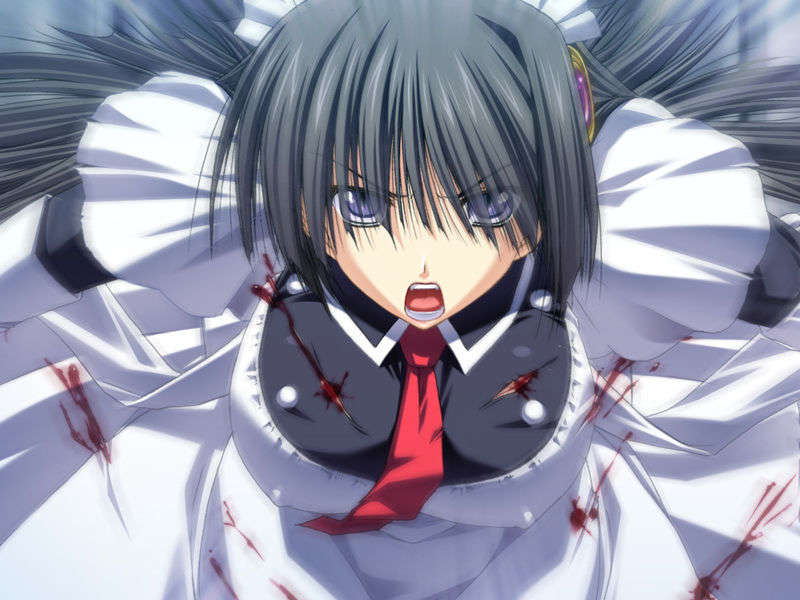 [070525][めろめろキュート] ドラクリウス 411/1211 