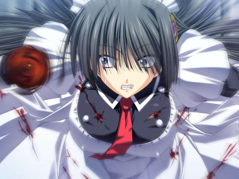 [070525][めろめろキュート] ドラクリウス 412/1211 