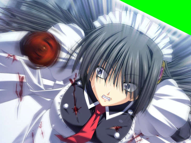 [070525][めろめろキュート] ドラクリウス 413/1211 