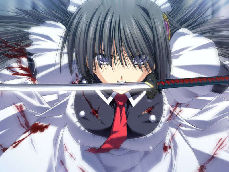 [070525][めろめろキュート] ドラクリウス 414/1211 