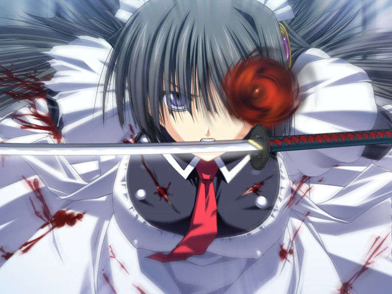 [070525][めろめろキュート] ドラクリウス 415/1211 