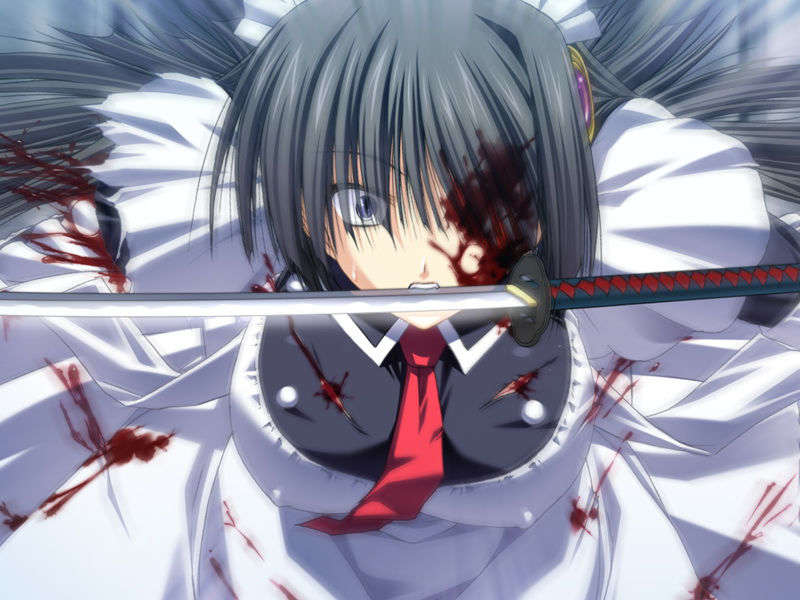 [070525][めろめろキュート] ドラクリウス 416/1211 