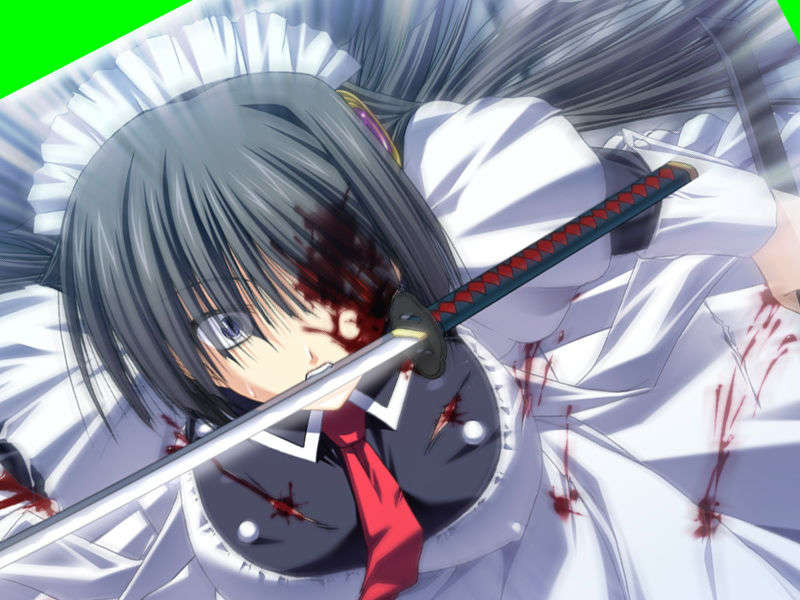 [070525][めろめろキュート] ドラクリウス 417/1211 