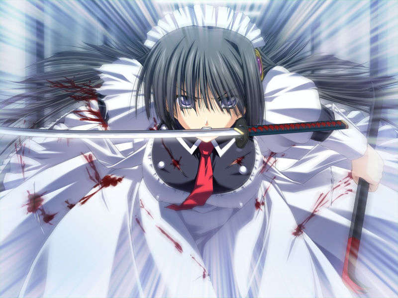 [070525][めろめろキュート] ドラクリウス 421/1211 