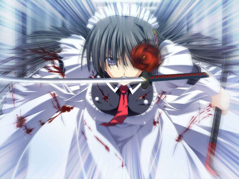 [070525][めろめろキュート] ドラクリウス 422/1211 