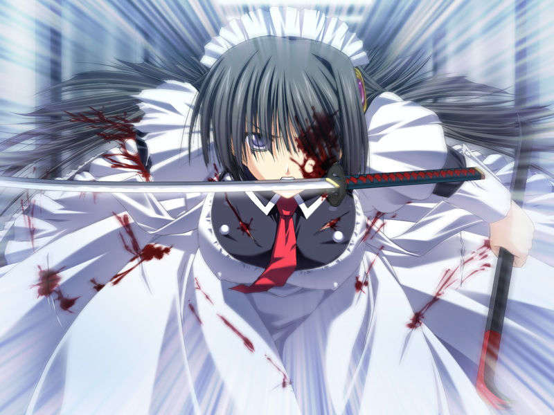 [070525][めろめろキュート] ドラクリウス 424/1211 