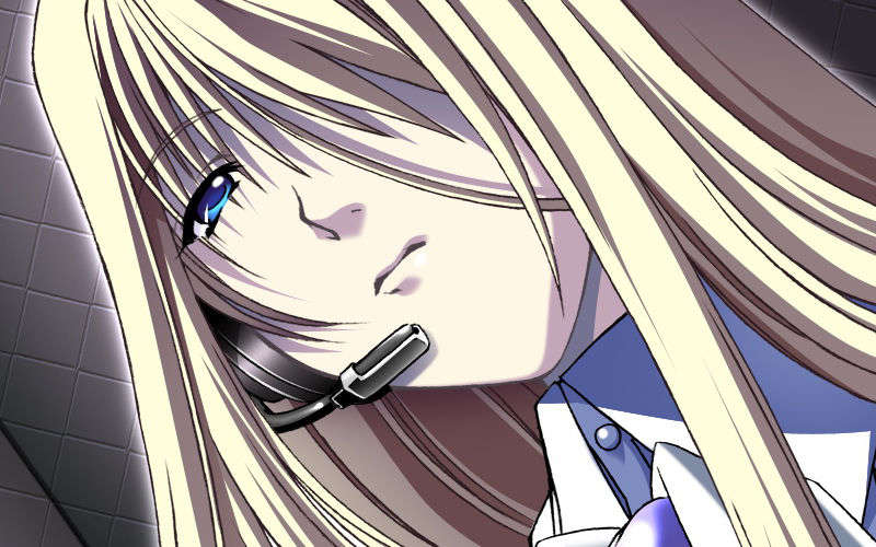 [070525][めろめろキュート] ドラクリウス 430/1211 