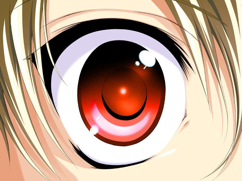 [070525][めろめろキュート] ドラクリウス 438/1211 