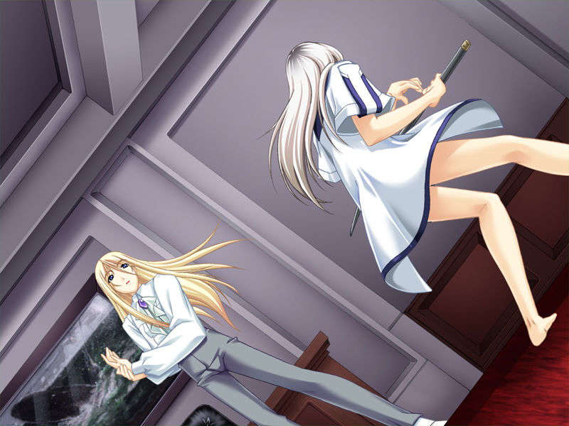 [070525][めろめろキュート] ドラクリウス 448/1211 