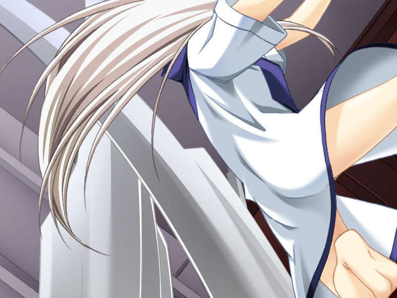 [070525][めろめろキュート] ドラクリウス 451/1211 