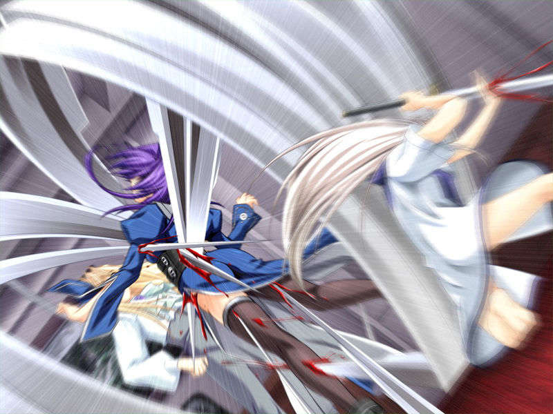 [070525][めろめろキュート] ドラクリウス 454/1211 