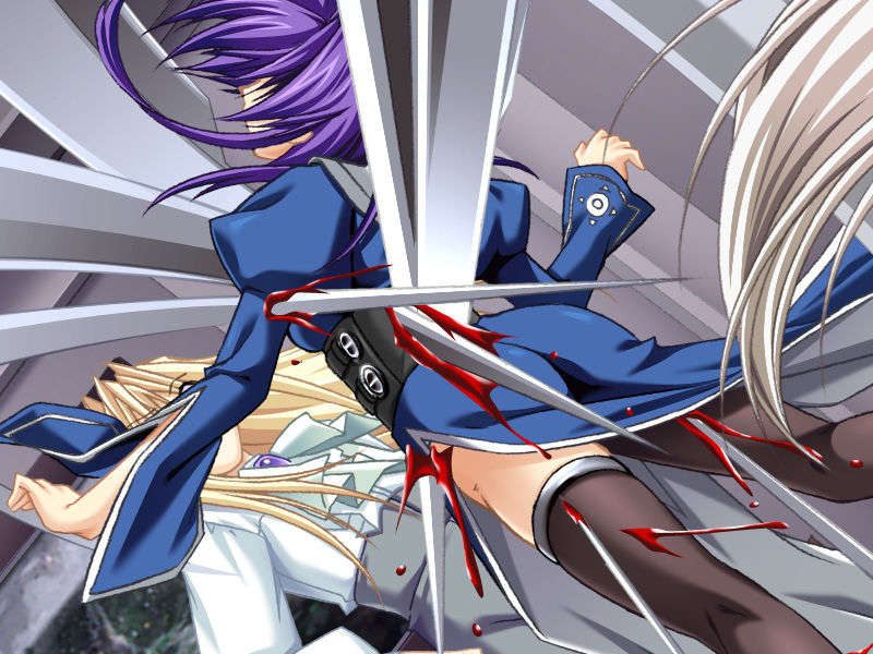 [070525][めろめろキュート] ドラクリウス 455/1211 