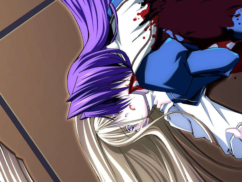 [070525][めろめろキュート] ドラクリウス 464/1211 