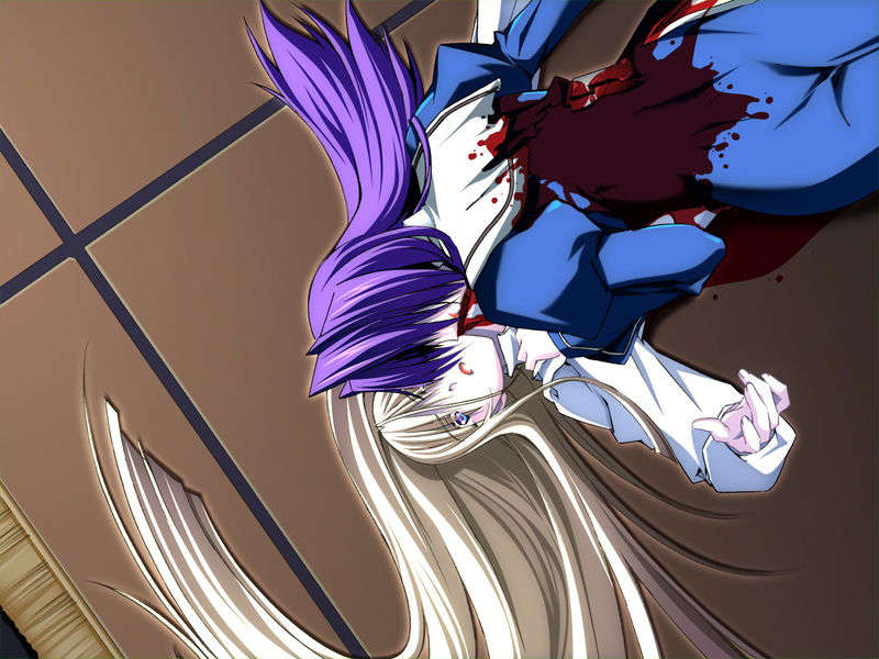 [070525][めろめろキュート] ドラクリウス 465/1211 