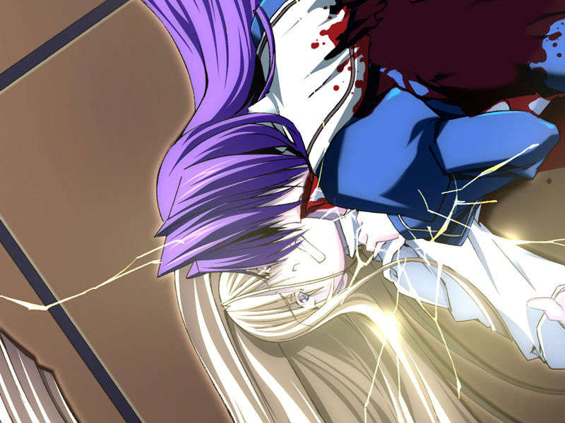 [070525][めろめろキュート] ドラクリウス 466/1211 