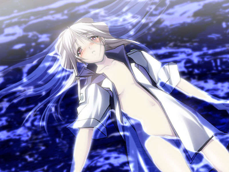 [070525][めろめろキュート] ドラクリウス 477/1211 