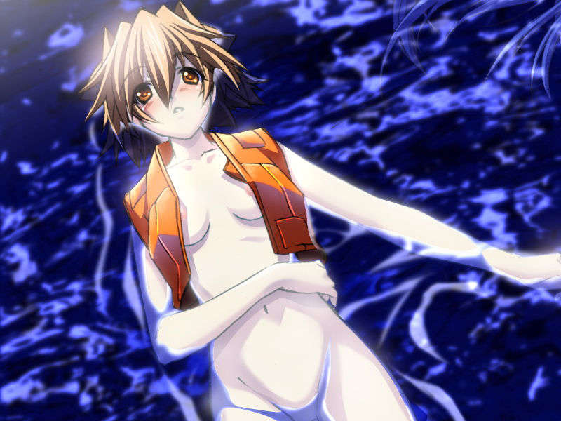 [070525][めろめろキュート] ドラクリウス 478/1211 