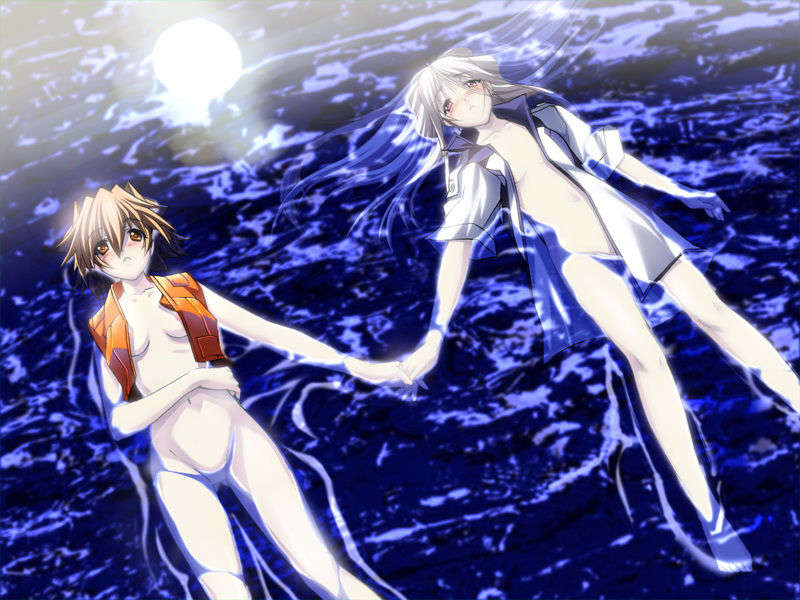 [070525][めろめろキュート] ドラクリウス 480/1211 