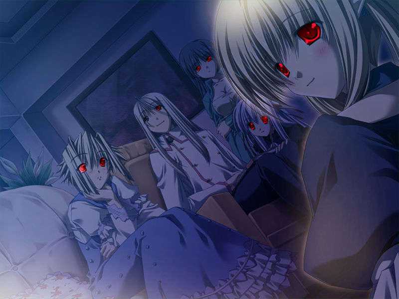 [070525][めろめろキュート] ドラクリウス 488/1211 