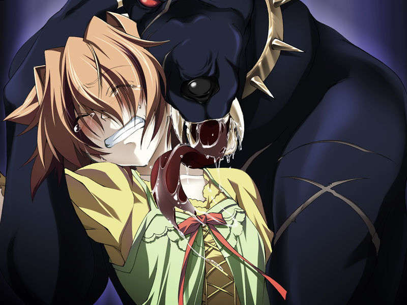 [070525][めろめろキュート] ドラクリウス 490/1211 