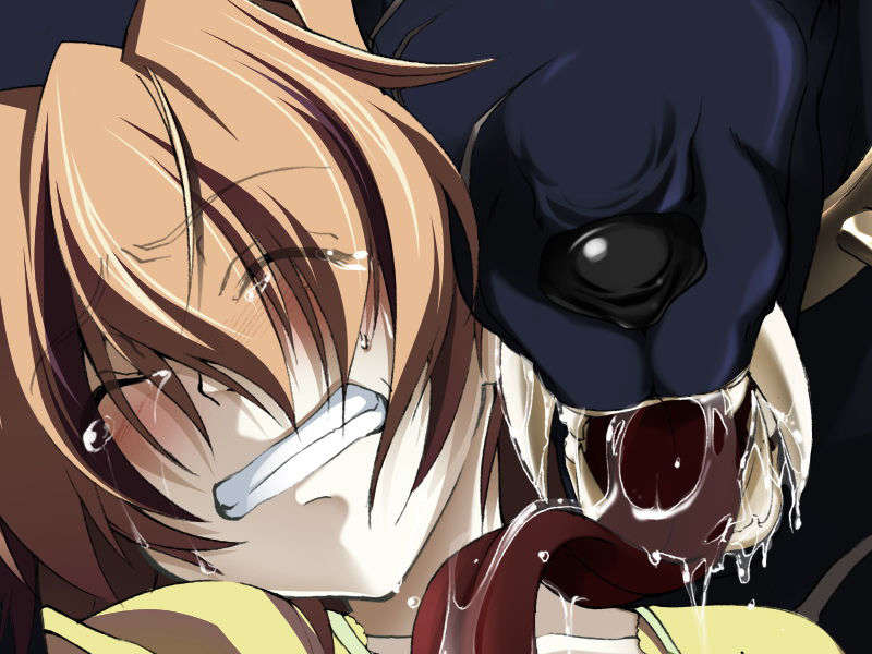 [070525][めろめろキュート] ドラクリウス 497/1211 