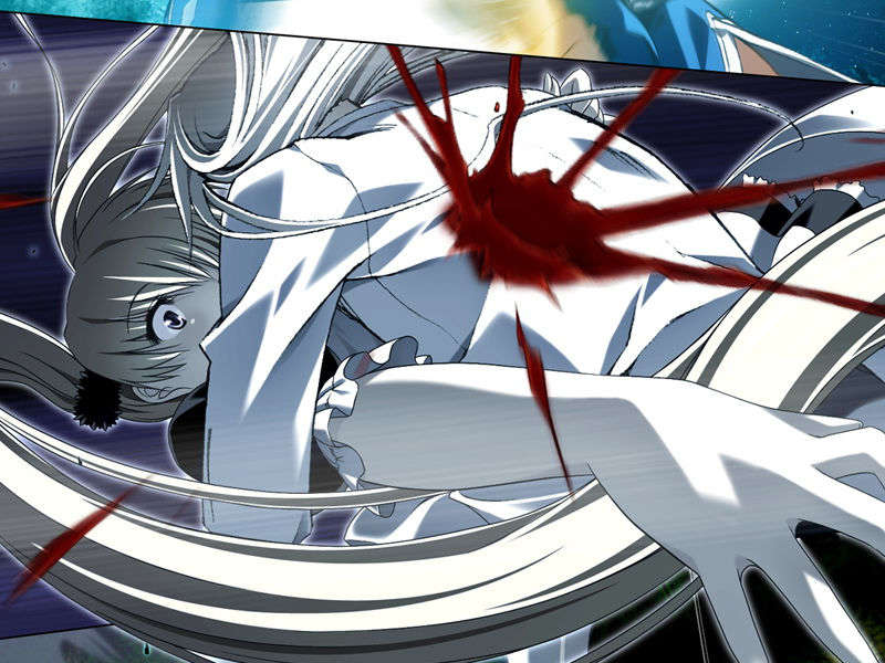 [070525][めろめろキュート] ドラクリウス 505/1211 