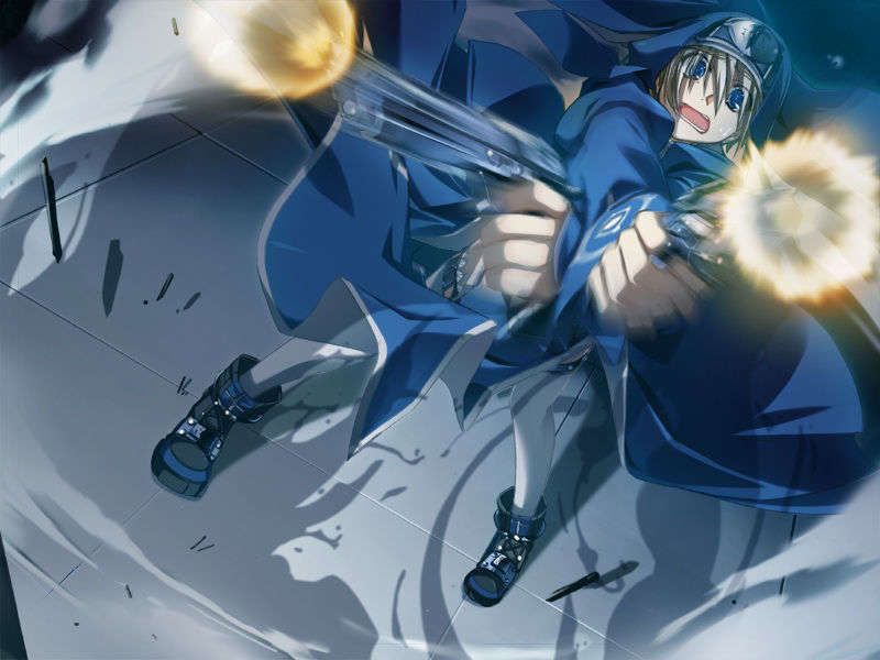 [070525][めろめろキュート] ドラクリウス 528/1211 